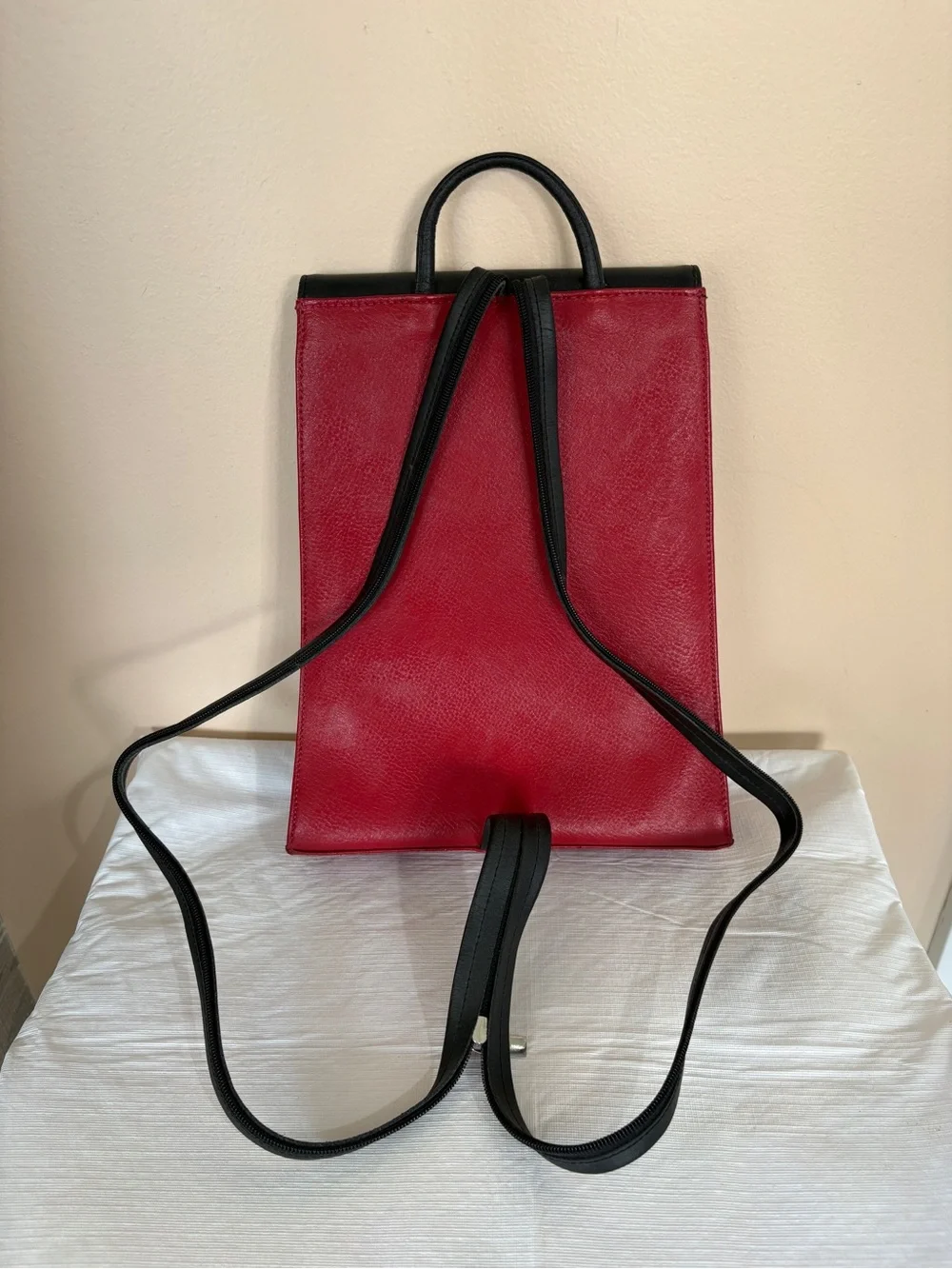 Cleo and Patek Paris Black and Red Leather Backpack
